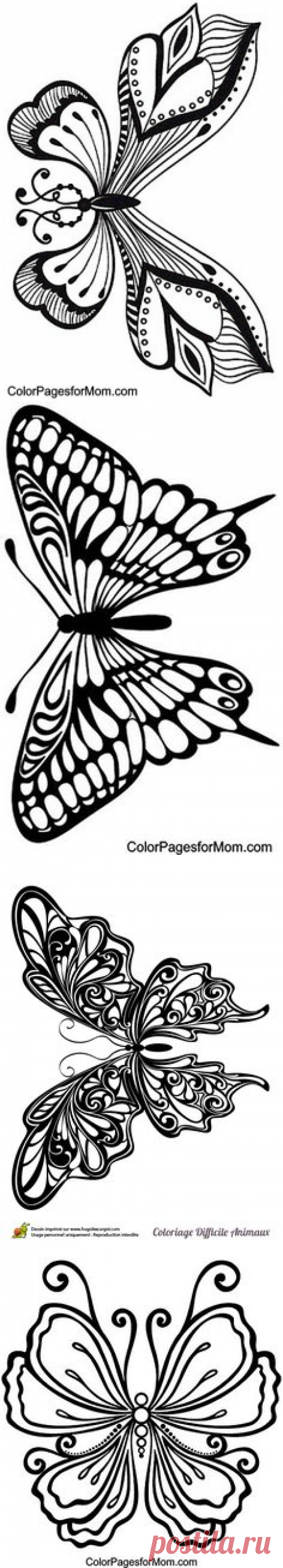 (88) Pinterest
