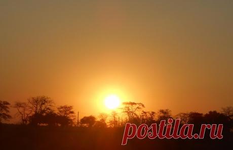 (49) Одноклассники