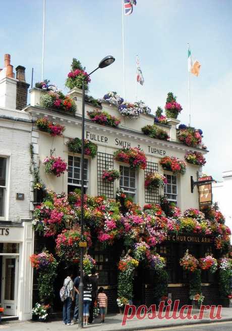 notting hill