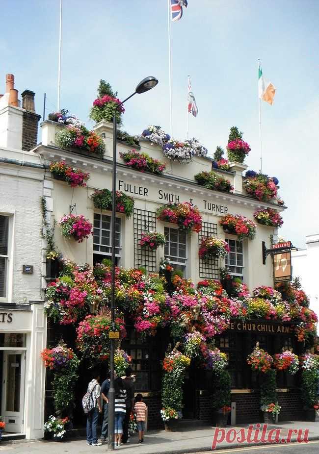 notting hill