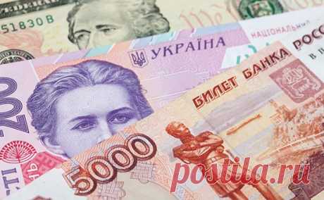 Записки Колорадского Таракана. Как быстро женить Гривну на Рубле, пока она корью не заболела?