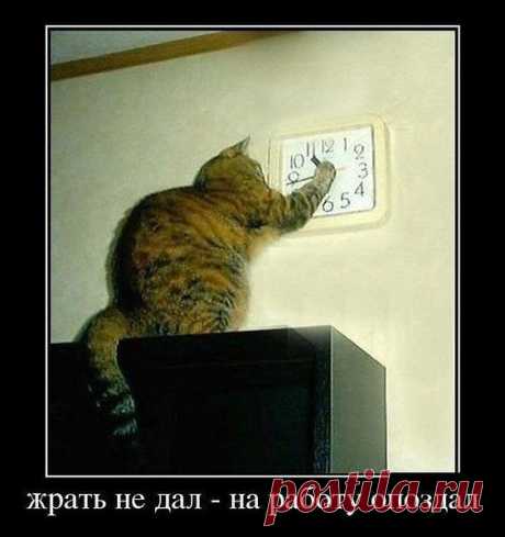 Интересные новости