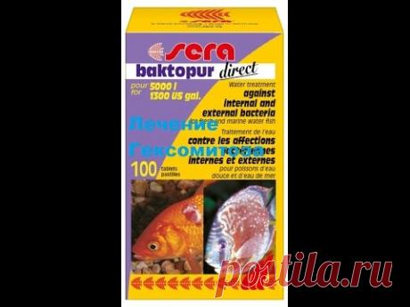 Лечение Гексамитоза препаратом SERA BAKTOPUR DIRECT - YouTube