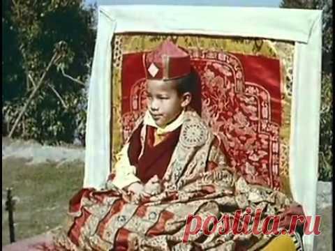 Видео сайта «Шамбала»