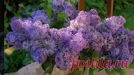 (78) Одноклассники