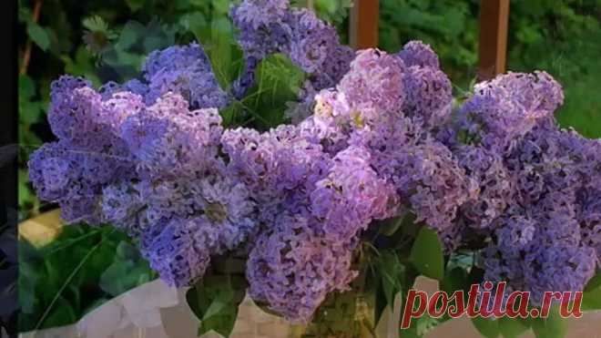 (78) Одноклассники