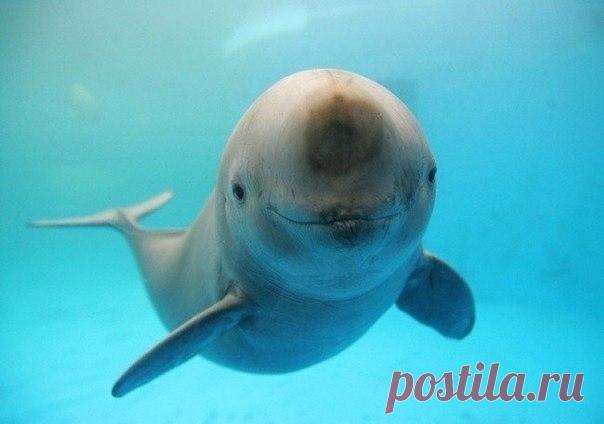 Мир принадлежит тому, кто ему рад