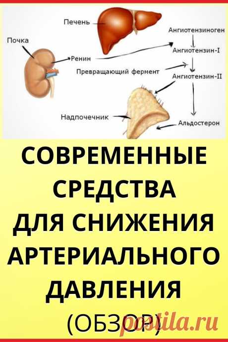 Современные средства для снижения артериального давления (обзор)