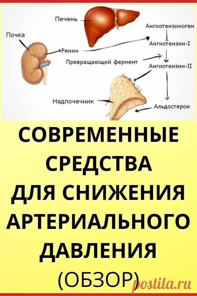 Современные средства для снижения артериального давления (обзор)