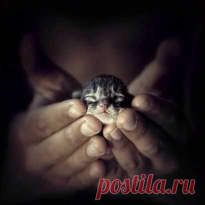 Крошка)