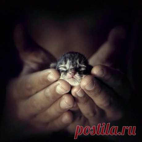 Крошка)