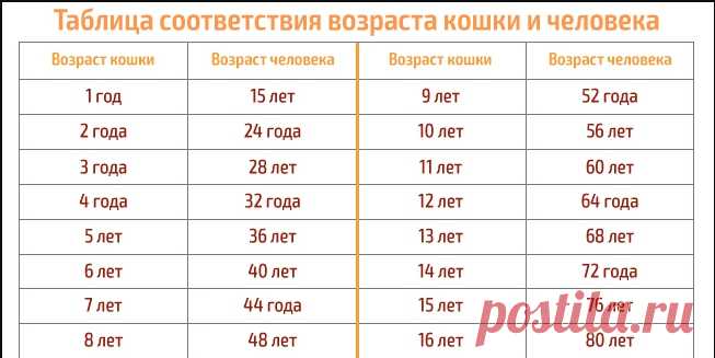 Единственная правильная таблица! Сколько лет вашему питомцу "по-человечески"? - Интересно всем