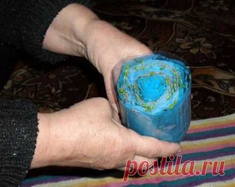 Выращиваем рассаду без земли