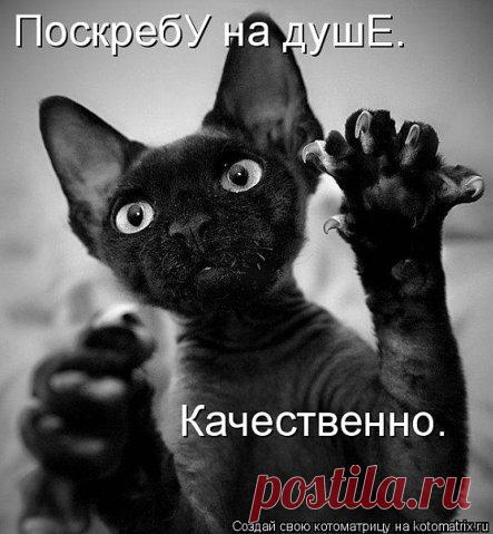 МУП Североморские Теплосети