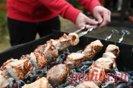 В Роскачестве рассказали, как выбрать правильное мясо для шашлыка - Читай и думай, Сызрань!