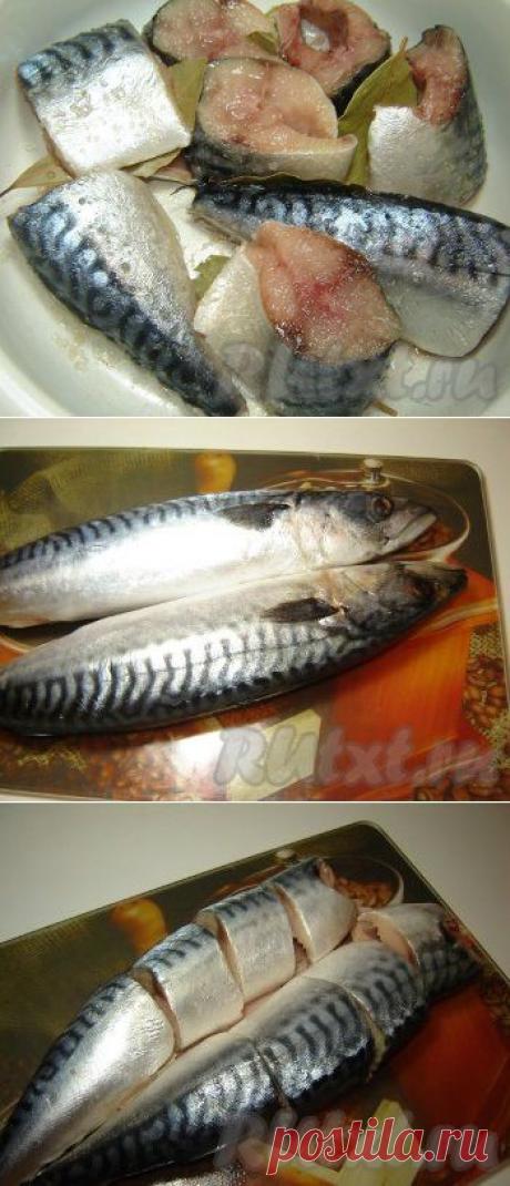 Рецепт засолки скумбрии в домашних условиях.