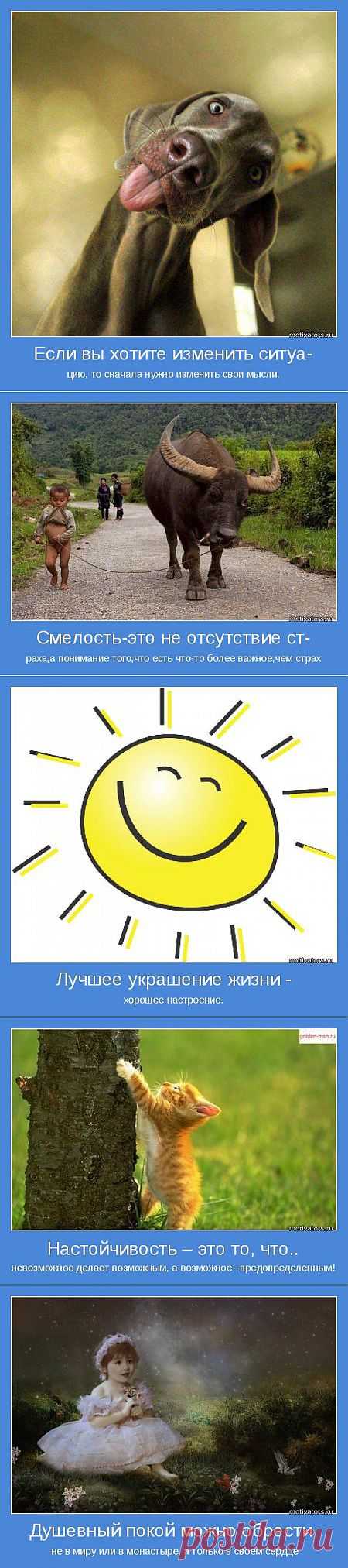 Правильные советы и мотивация на правильном сайте! » Поржать.ру