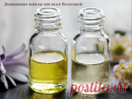 Полезные советы: ДОМАШНИЕ КАПЛИ ОТ ВСЕХ БОЛЕЗНЕЙ