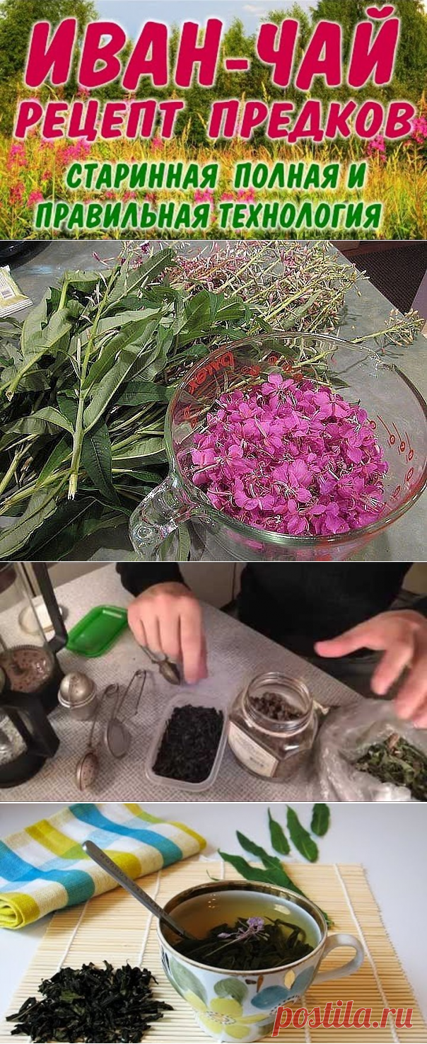 (8) Одноклассники