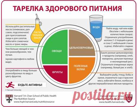Tарелка Здорового Питания (Russian) Тарелка Здорового Питания, созданная экспертами по питанию Гарвардской школы общественного здравоохранения,  это руководство для здорового, сбалансированного питания – на тарелке или в вашей коробк…