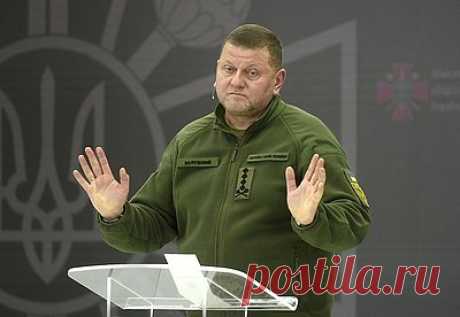В Госдуме назвали две причины увольнения Залужного. Первый зампред комитета Госдумы по делам СНГ Константин Затулин назвал две причины увольнения главнокомандующего ВСУ Валерия Залужного. Первой причиной он назвал растущую популярность главкома среди населения, а второй — изменение характера военных действий и неудачи наземных операций во время контрнаступления.
