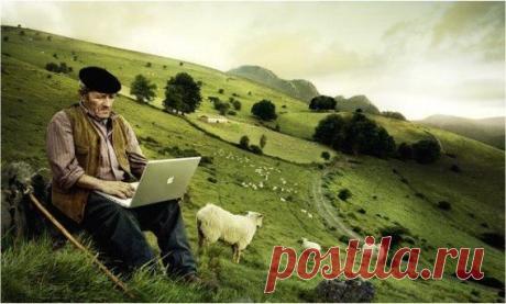 Притча про наёмных консультантов — Бизнес-клуб — Профессионалы.ru