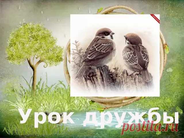 Сказка о воробьях Сказки на ночь - Журнал полезных советов