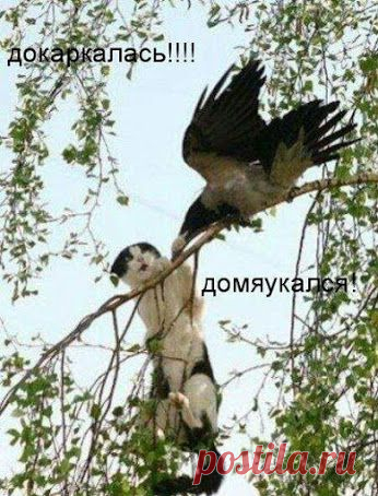 Google+
