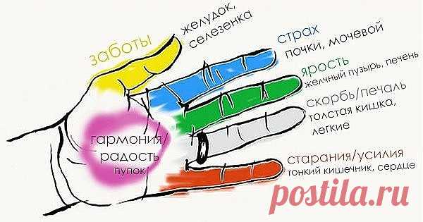СОЖМИТЕ ПАЛЕЦ НА РУКЕ НА 20 СЕКУНД. РЕЗУЛЬТАТ ПОРАЗИТЕЛЬНЫЙ

Оказывается, пальцы рук — это главные «генераторы» страхов, тревоги, раздражительности и неуверенности в себе. Массируя или легонько сжимая их, вы не только избавляетесь от негативных эмоций, но и способствуете улучшению состояния определённых органов тела.

Найдите из примеров ниже именно тот, что нужен вам больше всего в данный момент и попробуйте на себе.

Большой палец: тревога и головные боли

Большой палец ...