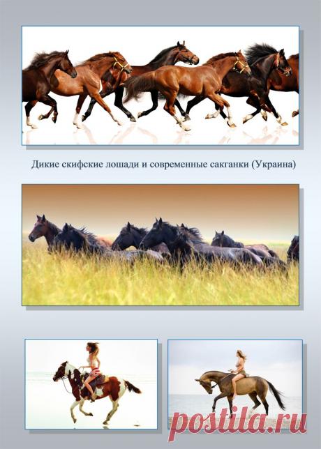 Др наук Сан Чад * История Античной Украины – 92 фотографии