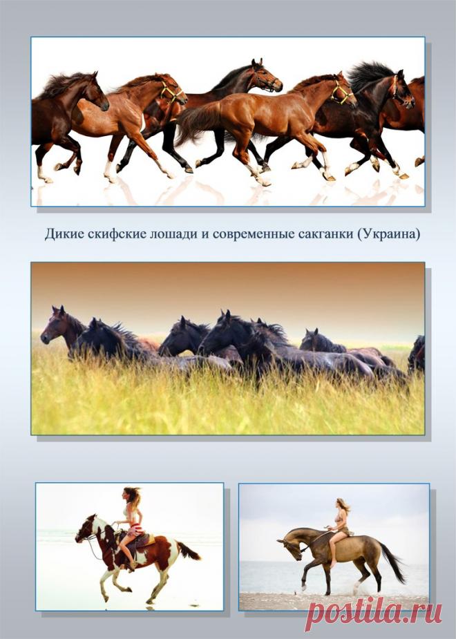 Др наук Сан Чад * История Античной Украины – 92 фотографии