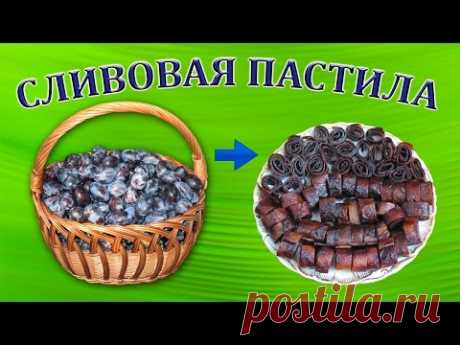 Домашняя пастила из сливы