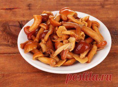 Маринованные опята | Заготовки