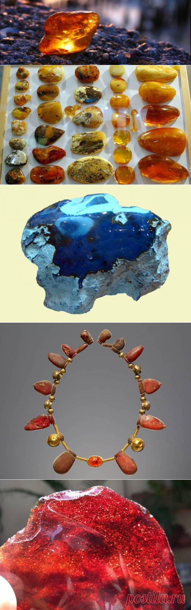 Занимательные факты о янтаре — Наука и жизнь