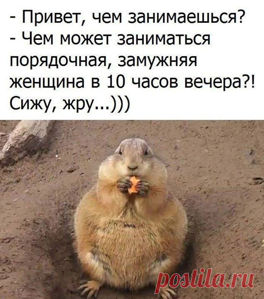 Если у вас есть юмор — вы непобедимы   


Два чувства нас спасают в жизни — любовь и юмор. Если у вас есть одно из двух, вы — счастливый человек. Если у вас есть оба — вы непобедимы...
 

Вечером ... Перед сном... Узнаете?

Уходит ЖИЗНЬ.…