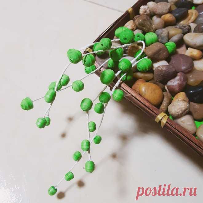 Paper Quilling Succulent Garden : 10 Steps (with Pictures)
