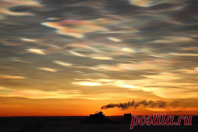 195 лет назад была открыта Антарктида — Рамблер-Новости