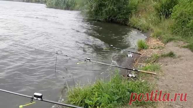 Супер приманка, прикормка, для карася леща карпа толстолоб, всей белой рыбы