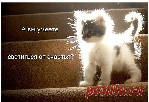 Игорь Хоружий
Андорра, Землянин