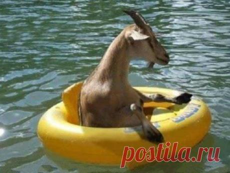 Интересные новости