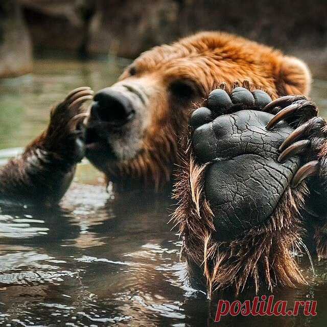 Путешествия | Природа