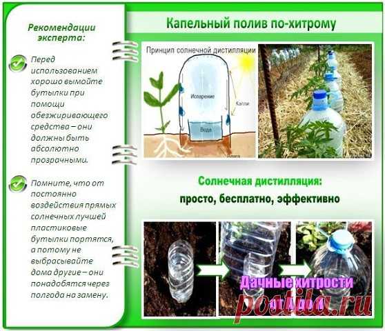 ПРОСТОЙ СПОСОБ ПОЛИВА ИЗ ПЛАСТИКОВЫХ БУТЫЛОК

Этот способ основан на принципе солнечной дистилляции - нагревание воды до парообразного состояния с последующей конденсацией пара в воду. Для этого используем две пластиковые бутылки разного размера.

В одну пластиковую бутылку наливаем воду, другая служит колпаком. При нагревании от солнца вода испаряется, пар оседает на стенках колпака, далее конденсат увлажняет грунт. При этом полив регулируется солнцем -  почва увлажняется...