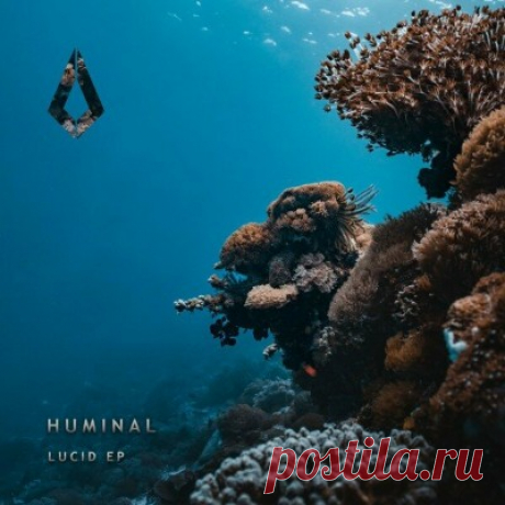 Huminal – Lucid