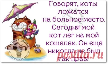 юмор,позитив |