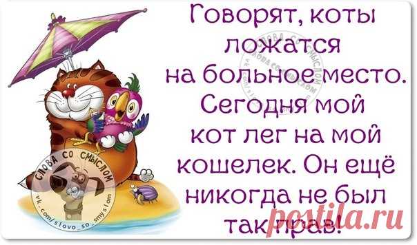 юмор,позитив |