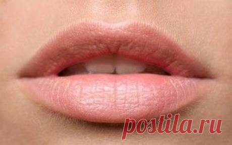 Как вылечить обветренные губы? 5 верных способов!
Обветривание губ – одно из малоприятных результатов зимних морозов. Сегодня в нашей статье мы попытаемся с вами разобраться как можно быстро и просто вылечить обветренные губы.