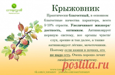 Крыжовник