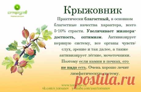 Крыжовник