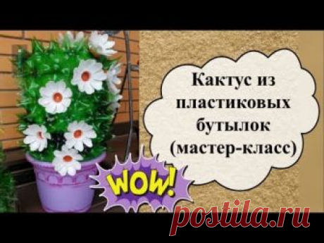 Кактус из пластиковых бутылок для украшения дачного участка (мастер-класс)