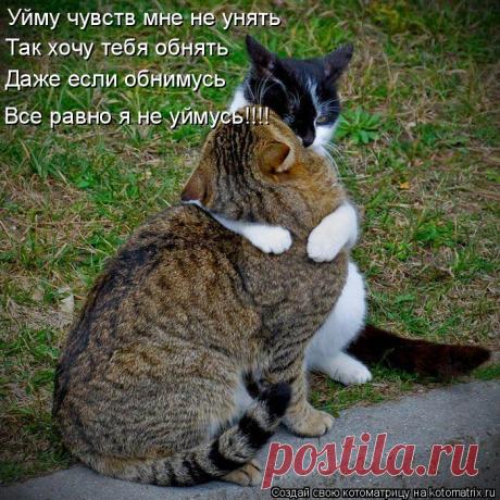 Картинки на тему «Так хочу обнять тебя и поцеловать!» (13 фото) ⭐ Забавник